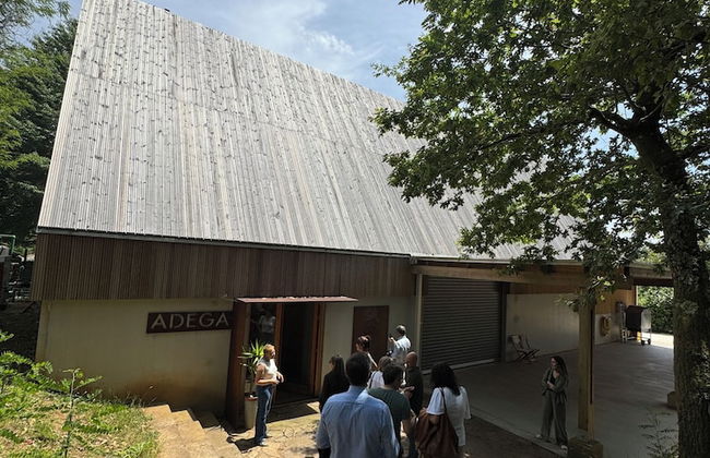 Enoturismo María Manuela - Photo 61