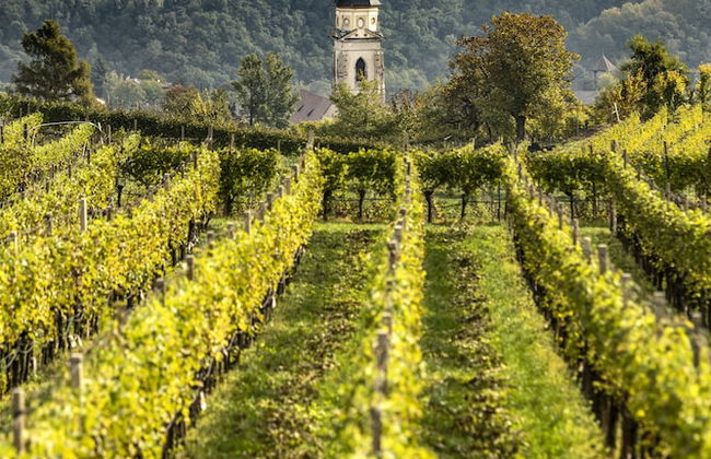 Belia Lofts - ADULTS ONLY - Apartments - Foto 50