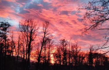 El Mirador del Alberche - Photo 37