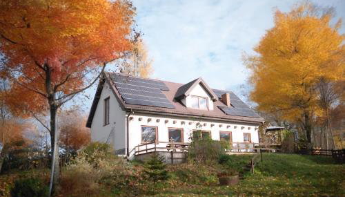 Park Wilkasy - Foto 2