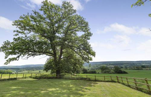 1 Bed in Brynteg oc-g32079 - Photo 17