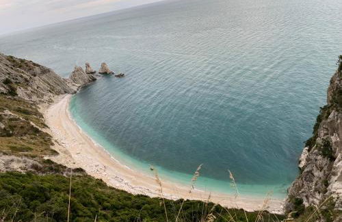 Cingohouse - Photo 13