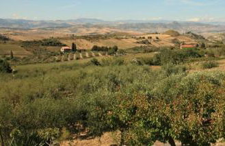 Bed House Floristella - Foto 23