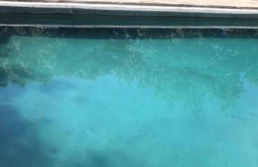 Las Casas del Palomar I & II - Photo 57