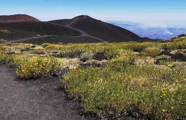 Etna Hike + Alcantara Gorges - Photo 1