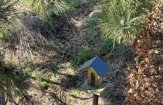 Relaxing Villa With Pool - Foto 25