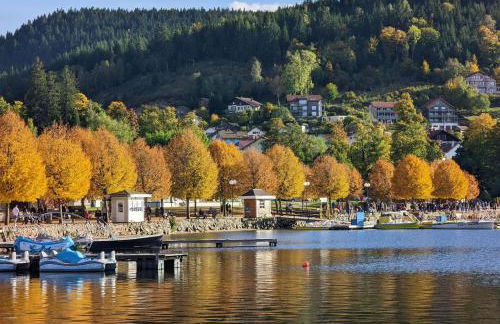 Villa 1950 Détente et Découverte avec spa et piscine extérieure - Foto 30