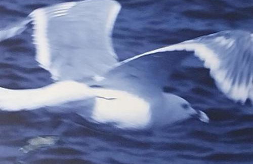 APARTAMENTO con TERRAZA VISTAS AL MAR - Foto 61