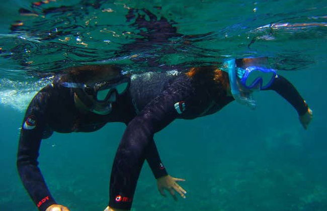 Tenerife Snorkelling & Sea Turtle Watching - Photo 3