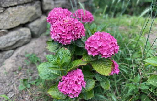 Une halte entre terre et mer - Foto 15