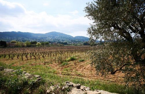 La Bastide des Oliviers - Foto 25