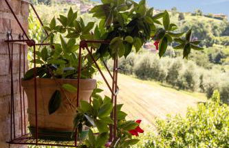 L'Oro Rosso - Foto 38