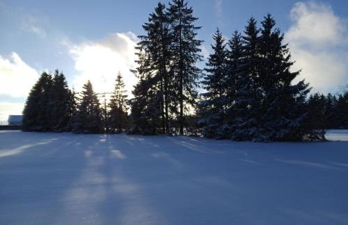 Ferienwohnung Eifel-Life - Photo 35