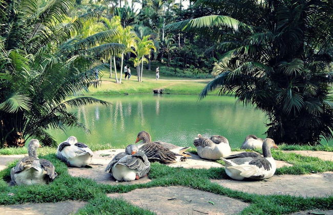 Excursión al Instituto Inhotim - Foto 5