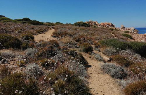 Cala Sardinia Apartment - Foto 35