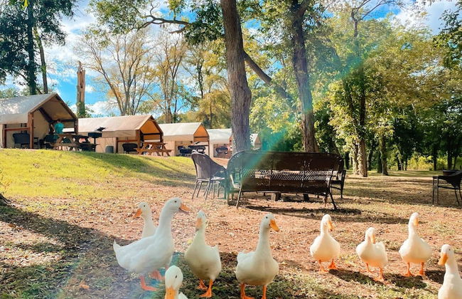 14 Blue River Camp - Glamping Cabin - Foto 53