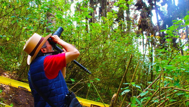 Tour in Valle de Bravo - Photo 4