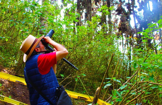 Tour in Valle de Bravo - Foto 4