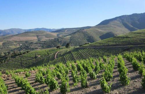 Les pieds dans l'eau ! - Foto 12