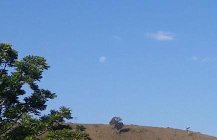 Rancho do Colega - Foto 60