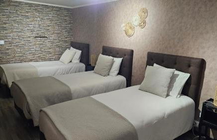 Gîte Glycines & Nature, proche Beauval et Châteaux - Foto 17