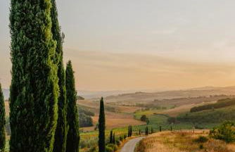 MYRTUS PODERE CUNINA - Foto 10