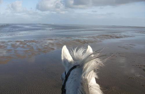 MeerMomente - Foto 21