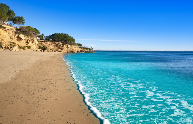 Jalisco de los Monteros - Foto 21