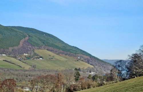 Thistle Dubh - Foto 13