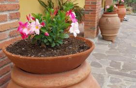 Agriturismo Rosetta - Foto 30