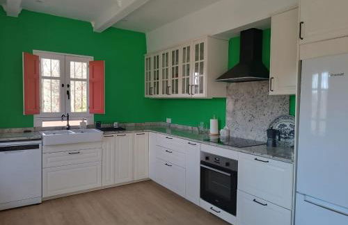 O Salgueiral - Foto 11