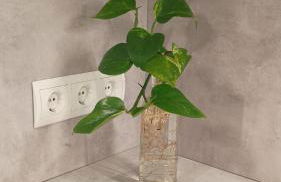 La Sardineta, es un apartamento en la Costa Brava, Palamós 1 minuto de la playa Alquiler temporal mínimo 32 noches - Foto 33