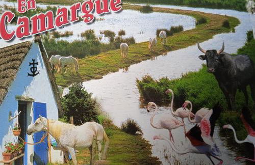 Les Oliviers de Camargue - Foto 19