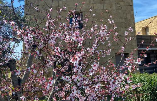 Casa Barbara Sardinia - Foto 46