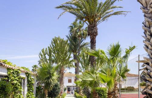 Bungalow Pink Palm beach - Foto 37