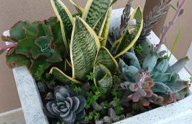 Casa PERLAMARE - Foto 52