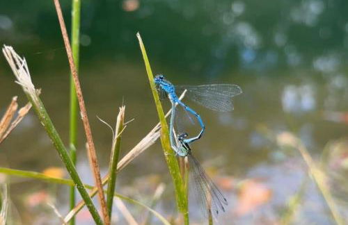 Le Perchoir Gîte de charme dans château -SPA- - Foto 6