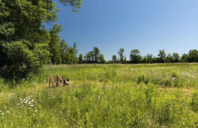 Boho Beaver - Foto 20