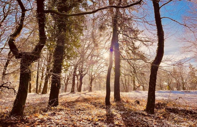 Holiday Home in Gelderland Near Nature Trails - Photo 33