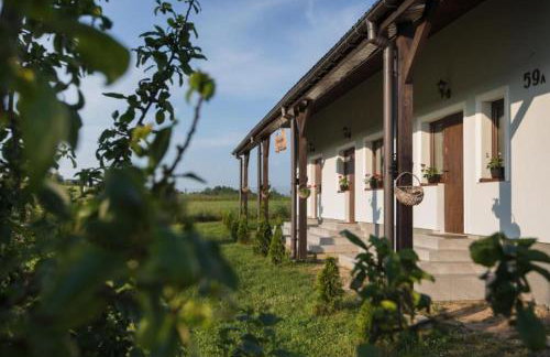 Agroturystyka Golubie - Foto 32