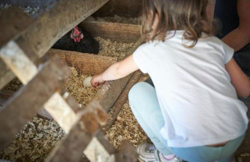 Agriturismo Antico Loggiato - Foto 40