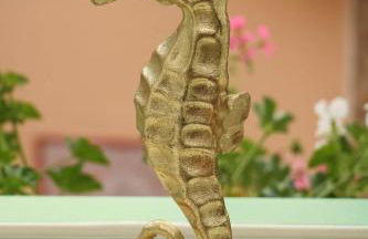 Donna Carmela - Foto 7