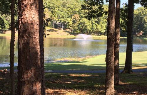 Furnished Deck and Grill Hot Springs House - Foto 31