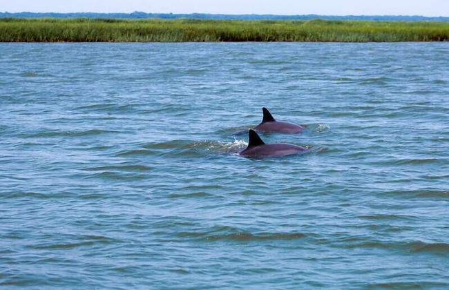 517 Sunsuite - Foto 29