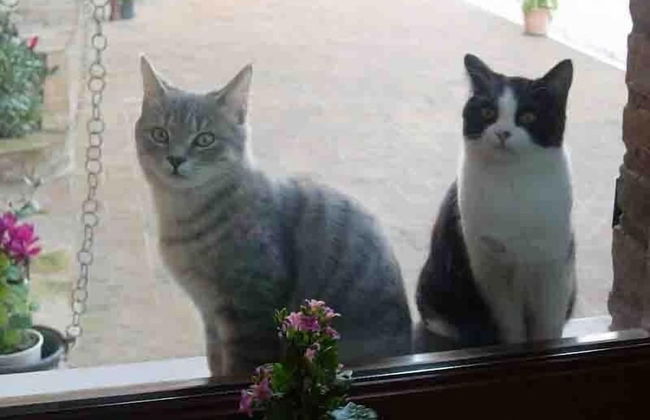 Colleverde Country House Beauty&Wellness - Foto 60