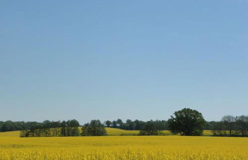 Brise Ferienwohnung - Photo 18