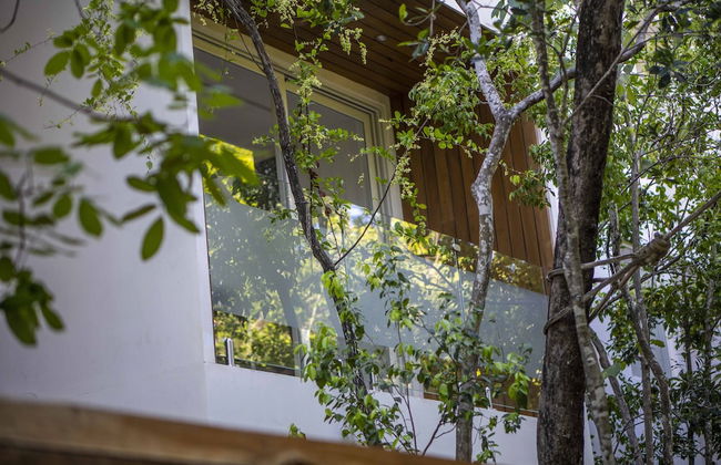 Vita Tulum - Photo 28