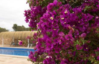 VIlla Mestral - Foto 64