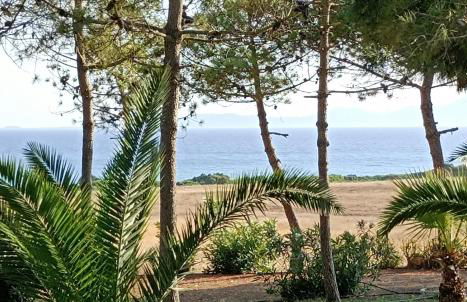 Kipriotis Hotel - Foto 44