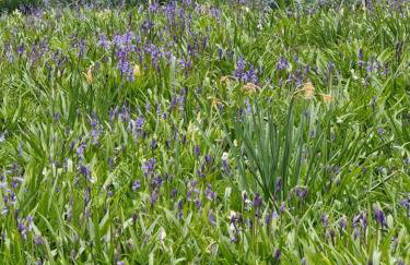 The Bungalow - Ardullie Lodge - Photo 23